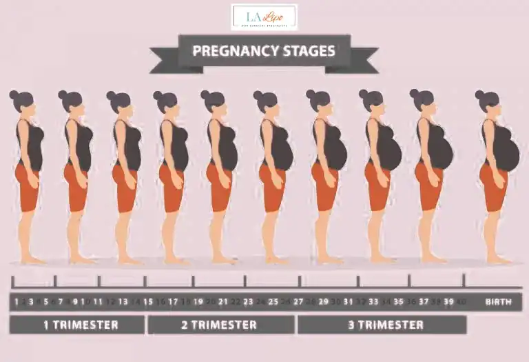 First Trimester (Weeks 1–12): Early Changes You Might Not Notice Cranleigh